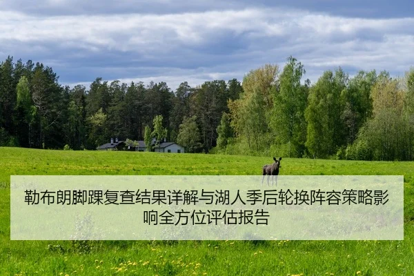 lei-bu-lang-jiao-huai-fu-cha-jie-guo-xiang-jie-yu-hu-ren-ji-hou-lun-huan-zhen-rong-ce-lve-ying-xiang-quan-fang-wei-ping-2-208.jpg